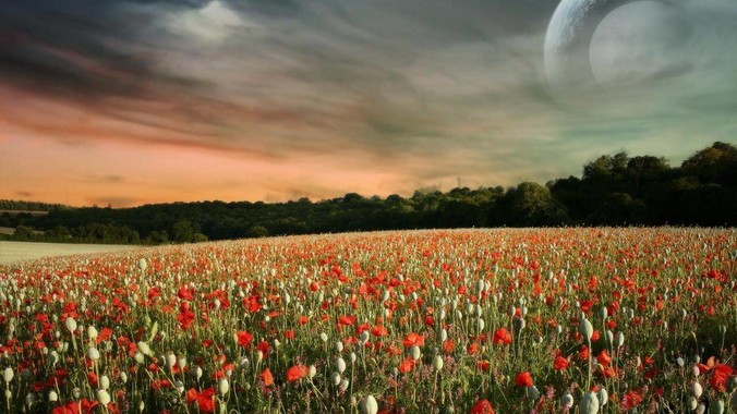 Windows有哪些神级软件？